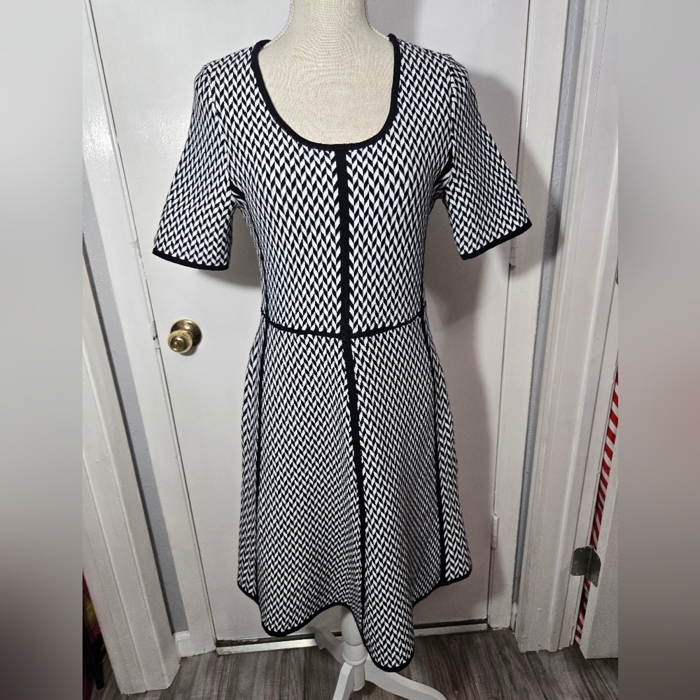 Nina Leonard Black And White Fit And Flare Sweater Dress Sz Large